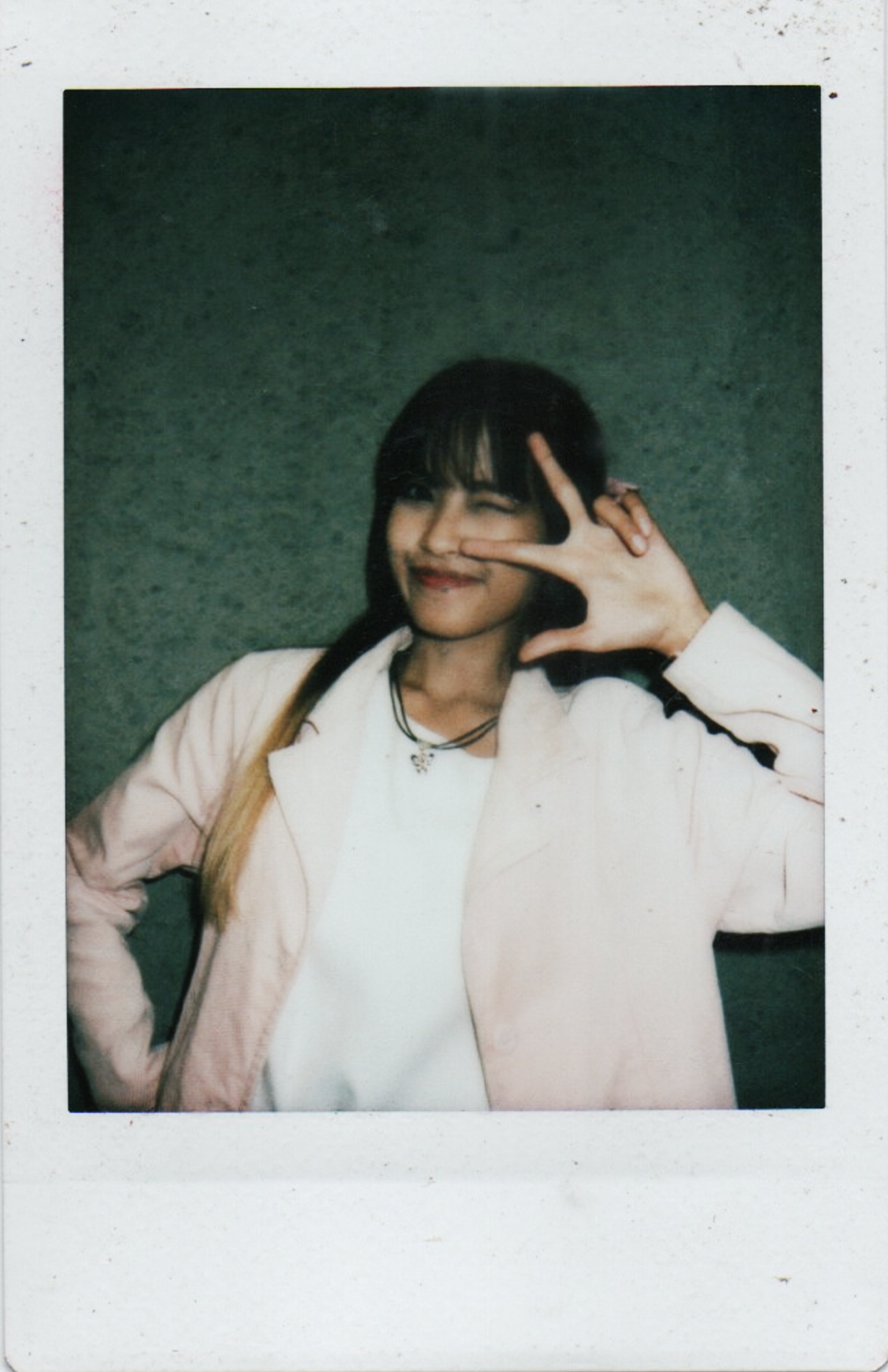 Polaroid - Debut Owl (Fisik)
